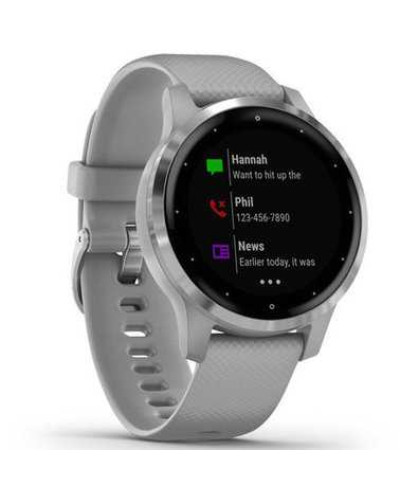 Смарт-годинник Garmin vivoactive 4S Powder Gray/Silver (010-02172-03/010-02172-01)