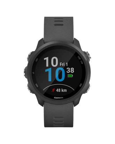 Спортивний годинник Garmin Forerunner 245 Slate Gray (010-02120-00)