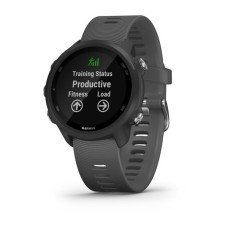 Спортивний годинник Garmin Forerunner 245 Slate Gray (010-02120-00)