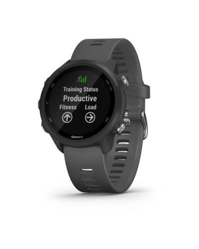 Спортивний годинник Garmin Forerunner 245 Slate Gray (010-02120-00)