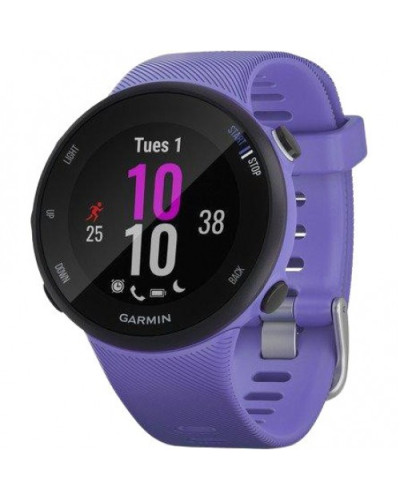 Спортивний годинник Garmin Forerunner 45s Iris (010-02156-11/010-02156-01)
