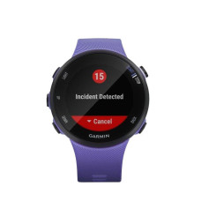 Спортивний годинник Garmin Forerunner 45s Iris (010-02156-11/010-02156-01)