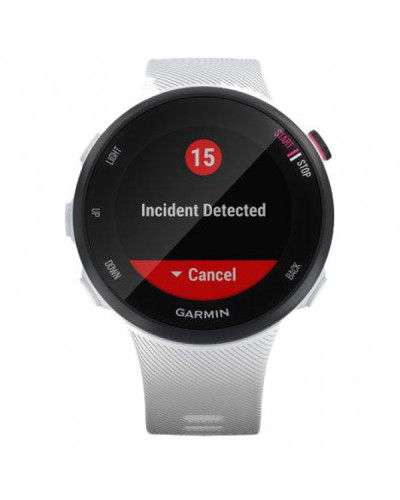 Спортивний годинник Garmin Forerunner 45s White (010-02156-00/10)