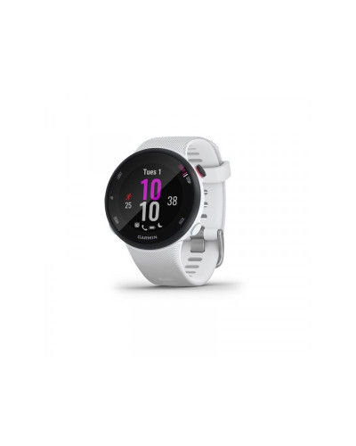 Спортивний годинник Garmin Forerunner 45s White (010-02156-00/10)