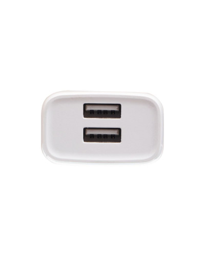 Сетевое Зарядное Устройство Hoco C73A 2USB Type-C 2.4A