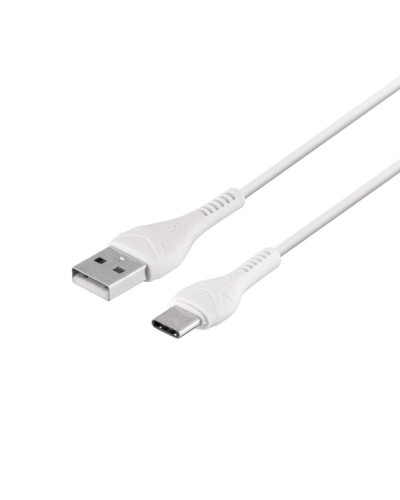 Сетевое Зарядное Устройство Hoco C73A 2USB Type-C 2.4A