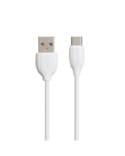Сетевое Зарядное Устройство Borofone BA39A QC3.0 Type-C 2USB 18W