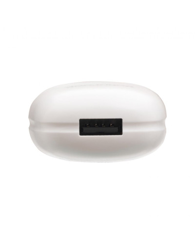 Сетевое Зарядное Устройство Borofone BA49A Lightning 2,1A