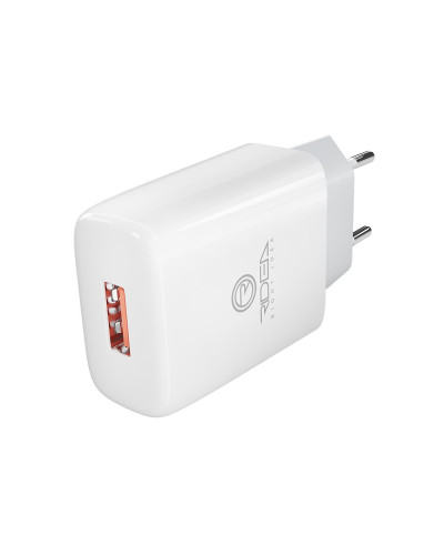 Сетевое Зарядное Устройство Ridea RW-11011 Element 2.1 A