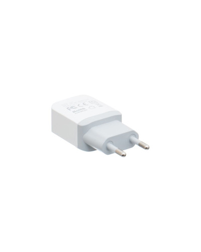 Сетевое Зарядное Устройство Hoco C22A Micro