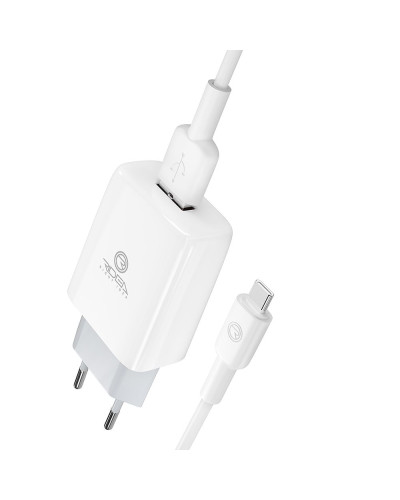 Сетевое Зарядное Устройство Ridea RW-11211 Element Type-C 2.1 A