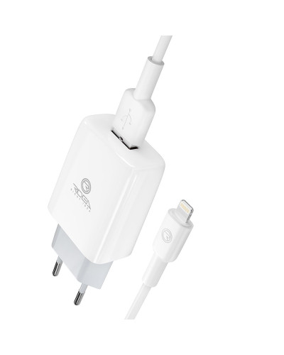 Сетевое Зарядное Устройство Ridea RW-11311 Element Lightning 2.1 A