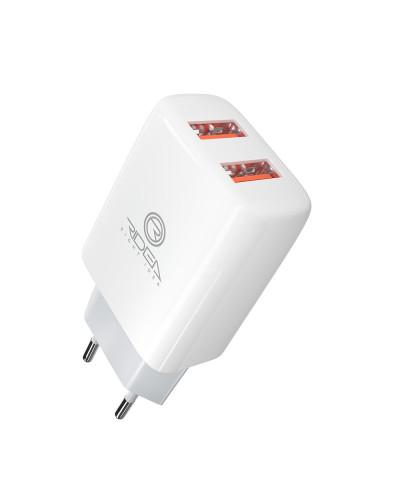 Сетевое Зарядное Устройство Ridea RW-21011 Element Duo 2USB 2.1 A
