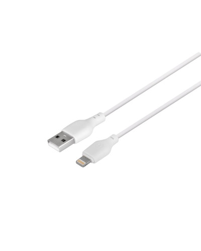 Сетевое Зарядное Устройство XO L65EU Lightning 2.4A 2USB