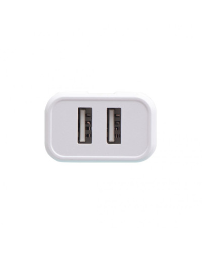 Сетевое Зарядное Устройство Borofone BA37A Type-C 2USB 2.4A