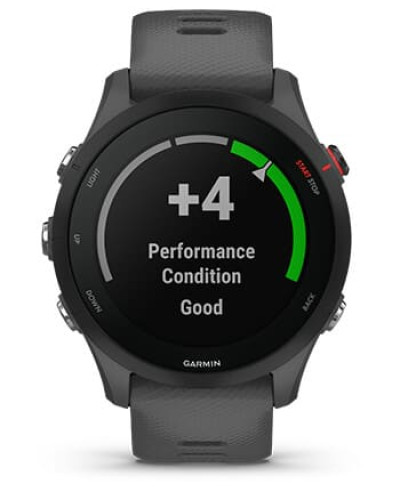 Смарт-годинник Garmin Forerunner 255 Slate Gray (010-02641-00/10/43)