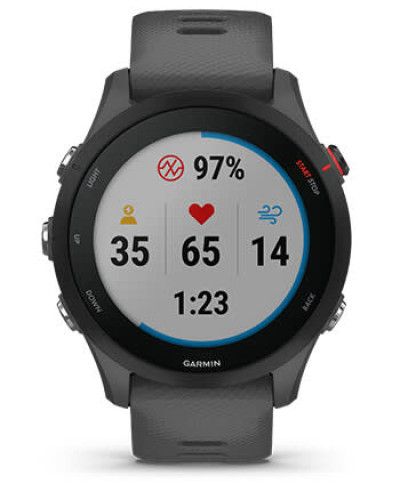 Смарт-годинник Garmin Forerunner 255 Slate Gray (010-02641-00/10/43)