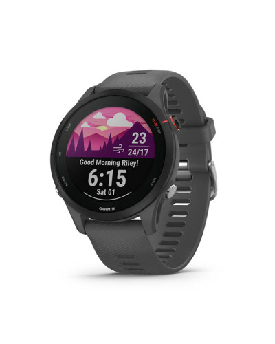 Смарт-годинник Garmin Forerunner 255 Slate Gray (010-02641-00/10/43)