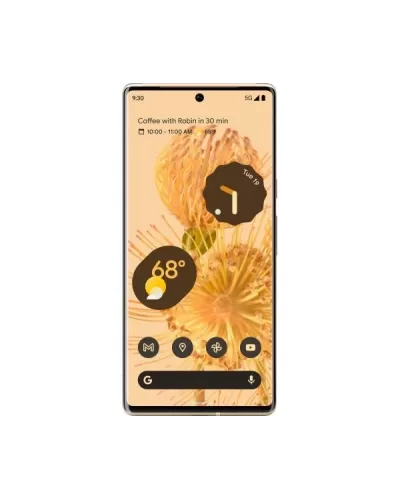 Google Pixel 6 Pro 12/128GB Sorta Sunny JP