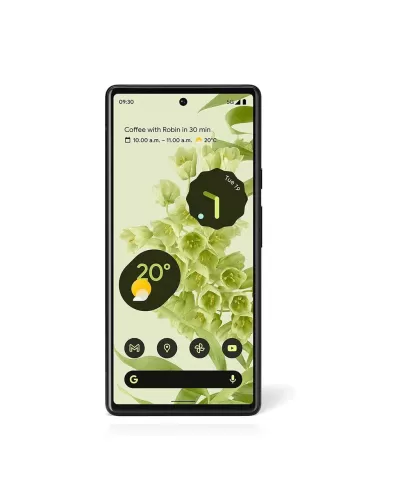 Google Pixel 6 8/256GB Stormy Black JP