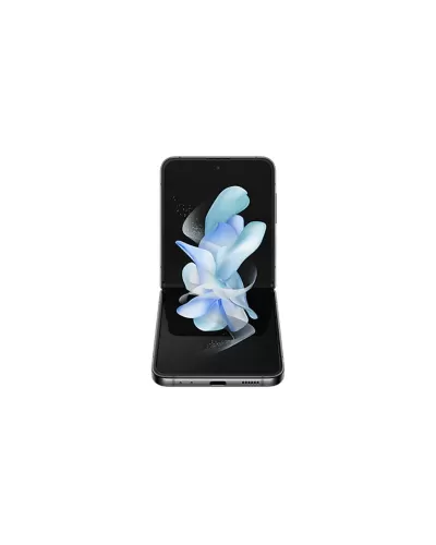 Samsung Galaxy Flip4 8/256GB Graphite (SM-F721BZAH)