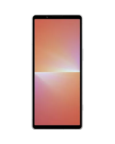Sony Xperia 1 V 12/256GB Platinum Silver