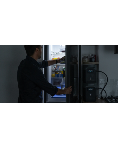 Зарядна станція EcoFlow DELTA 2 (ZMR330-EU)